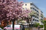 Hauptansicht - Haus Ankerlicht Whg. 28 - Top-Hundeurlaub