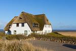 Hauptansicht - Haus Stedum Whg. 13 EG / UG - Top-Hundeurlaub
