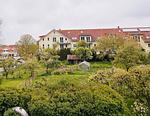 Landschaft - Ferienwohnung am Salzhaff C6 - Top-Hundeurlaub