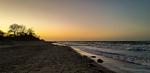 Strand - Am Weststrand Ferienwohnung 6 - Top-Hundeurlaub