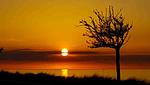 Landschaft - Am Weststrand Ferienwohnung 6 - Top-Hundeurlaub