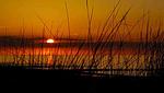 Landschaft - Am Weststrand Ferienwohnung 6 - Top-Hundeurlaub