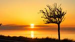 Strand - Am Weststrand Ferienwohnung 6 - Top-Hundeurlaub