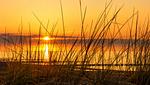 Strand - Am Weststrand Ferienwohnung 6 - Top-Hundeurlaub