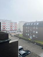 Mitte und Meer - Top-Hundeurlaub