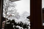 Rosengartl - Top-Hundeurlaub