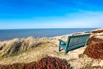 Garten - Haus Kliffsand, App. 41 - Top-Hundeurlaub