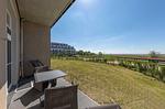 Ferienwohnung Strandflieder in Wustrow – sonnige Terrasse mit Sitzmöbeln, Gartenblick und ruhiger Lage nahe der Ostsee - Strandflieder - Top-Hundeurlaub