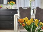 Ferienwohnung Ostwind Norddeich - Top-Hundeurlaub