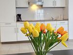 Ferienwohnung Nordwind Norddeich - Top-Hundeurlaub