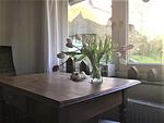 ATELIERHAUS - Top-Hundeurlaub