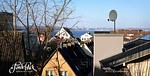 1A/ 03 Austernfischer EG - Top-Hundeurlaub