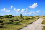 Strand - Haus Lüttje Hörn Apartment Meer - Top-Hundeurlaub