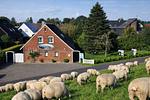 Vogelperspektive - Norderney - Top-Hundeurlaub