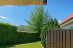 Garten - Bläker - Top-Hundeurlaub