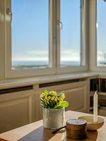 Wohnzimmer - Haus Friedeburg App. Watt Rantum auf Sylt - Top-Hundeurlaub