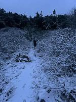 Neu eingerichtete Ferienwohnung "Leuchtturm" Wangerooge  - Top-Hundeurlaub