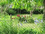 Gartenblick - Calypso - Top-Hundeurlaub
