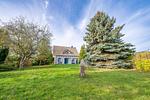 Gartenblick - Calypso - Top-Hundeurlaub