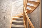 Fassade / Eingang - Oldeoog - Top-Hundeurlaub