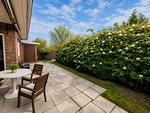 Terrasse - Felicitas - Top-Hundeurlaub