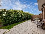 Terrasse - Felicitas - Top-Hundeurlaub