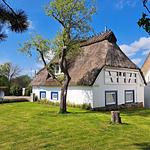 Hauptansicht - Ferienhaus Winne-Hus Winnemark - Top-Hundeurlaub