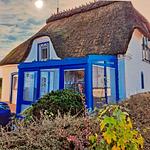 Hauptansicht - Ferienhaus Winne-Hus Winnemark - Top-Hundeurlaub