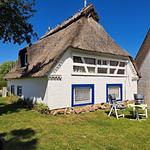 Hauptansicht - Ferienhaus Winne-Hus Winnemark - Top-Hundeurlaub