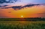 Landschaft - Ferienhaus Winne-Hus Winnemark - Top-Hundeurlaub