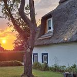 Ferienhaus Winne-Hus Winnemark - Top-Hundeurlaub