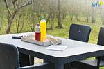 Terrasse - Ferienwohnung Austernfischer - Top-Hundeurlaub