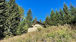 Ferienhaus für 4 Personen (30 m²) in Lienz - Top-Hundeurlaub