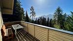 Ferienhaus für 4 Personen (30 m²) in Lienz - Top-Hundeurlaub