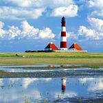 Landschaft - Ferienwohnung de lütt stuv St. Peter-Ording - Top-Hundeurlaub