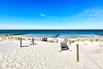 Strandansicht mit Meer und Dünen - Henriette - Top-Hundeurlaub