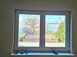 Blick auf See - Ferienwohnung Gärtnerhäusle - Top-Hundeurlaub