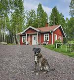 Hundefreundliches Ferienhaus mitten im Wald  - Top-Hundeurlaub