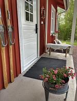 Hundefreundliches Ferienhaus mitten im Wald  - Top-Hundeurlaub