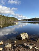 Hundefreundliches Ferienhaus mitten im Wald  - Top-Hundeurlaub