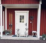 Hundefreundliches Ferienhaus mitten im Wald  - Top-Hundeurlaub