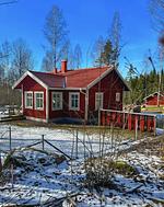 Hundefreundliches Ferienhaus mitten im Wald  - Top-Hundeurlaub