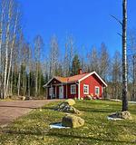Hundefreundliches Ferienhaus mitten im Wald  - Top-Hundeurlaub