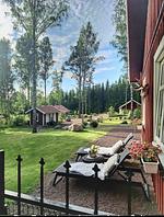 Hundefreundliches Ferienhaus mitten im Wald  - Top-Hundeurlaub