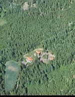 Hundefreundliches Ferienhaus mitten im Wald  - Top-Hundeurlaub