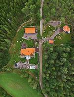 Hundefreundliches Ferienhaus mitten im Wald  - Top-Hundeurlaub