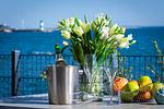 Dekoratives Detail - Haus am Meer - Top-Hundeurlaub