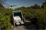Terrasse - List Beach - Top-Hundeurlaub