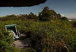Terrasse - List Beach - Top-Hundeurlaub