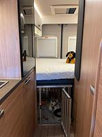 Wohnmobilvermietung hund-up-padd.de / Mit dem Hund Urlaub im Wohnmobil - Top-Hundeurlaub